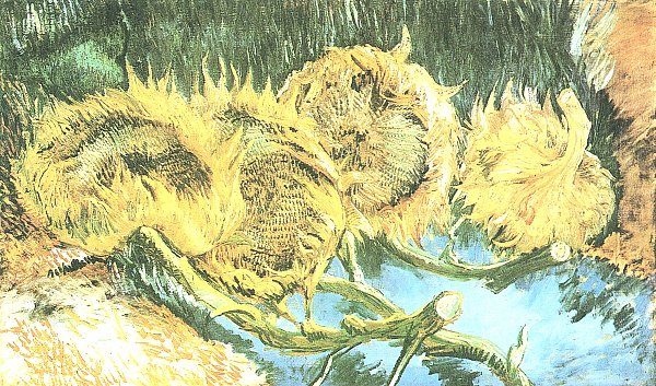 Vier-verbluehte-Sonnenblumen_600